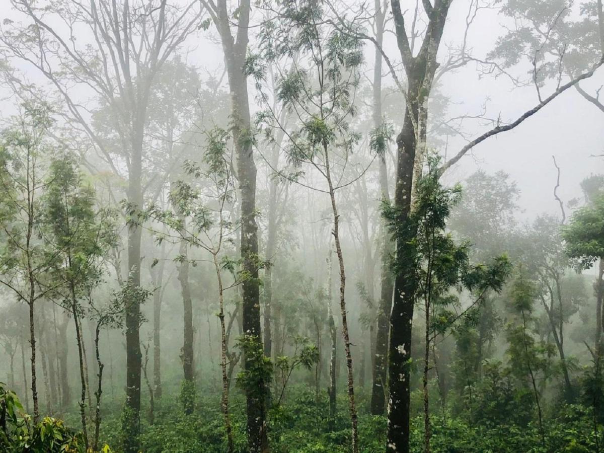 Coorg Wilderness Resort & Spa Madikeri Εξωτερικό φωτογραφία